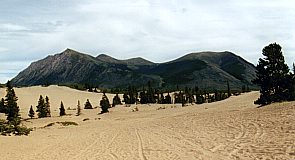 Carcross Desert