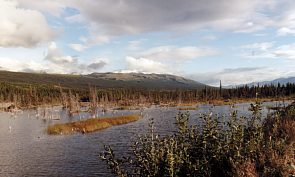 Am Richardson Highway