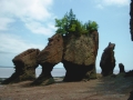 SIMG0170 * Hopewell Rocks, New Brunswick * 1600 x 1200 * (1.29MB)