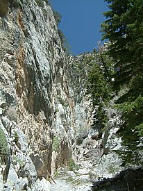 Fletcher Canyon, Mount Charleston