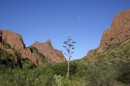 bigbendchisos028 * Chisos Mountains, Big Bend National Park * 3072 x 2048 * (3.12MB)