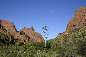 Chisos Mountains, Big Bend National Park