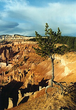 Bryce Canyon National Park