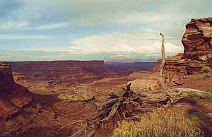 Canyonlands National Park