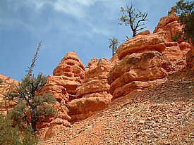 Red Canyon