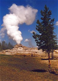 Geyser im Yellowstone National Park